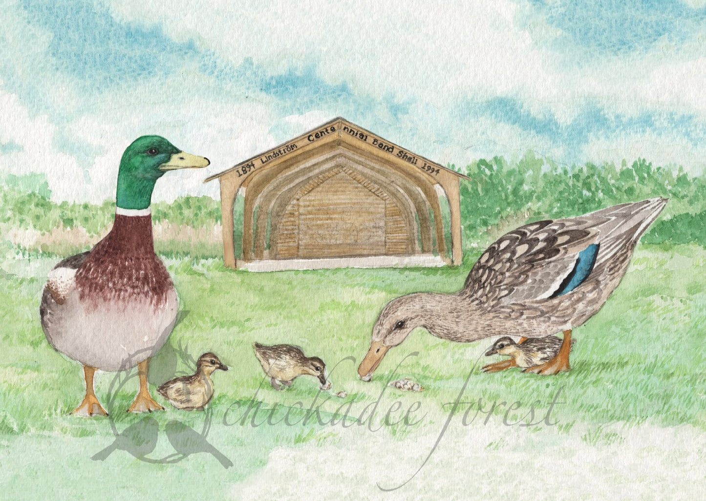 Ducks in the Park, Lion’s Park, Lindstrom 5x7