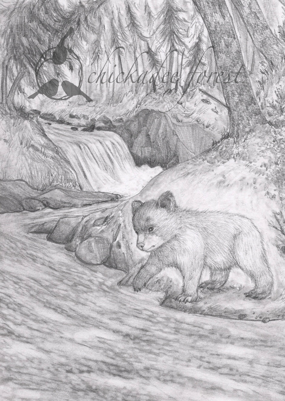 Baby Bear Pencil Drawing 5x7