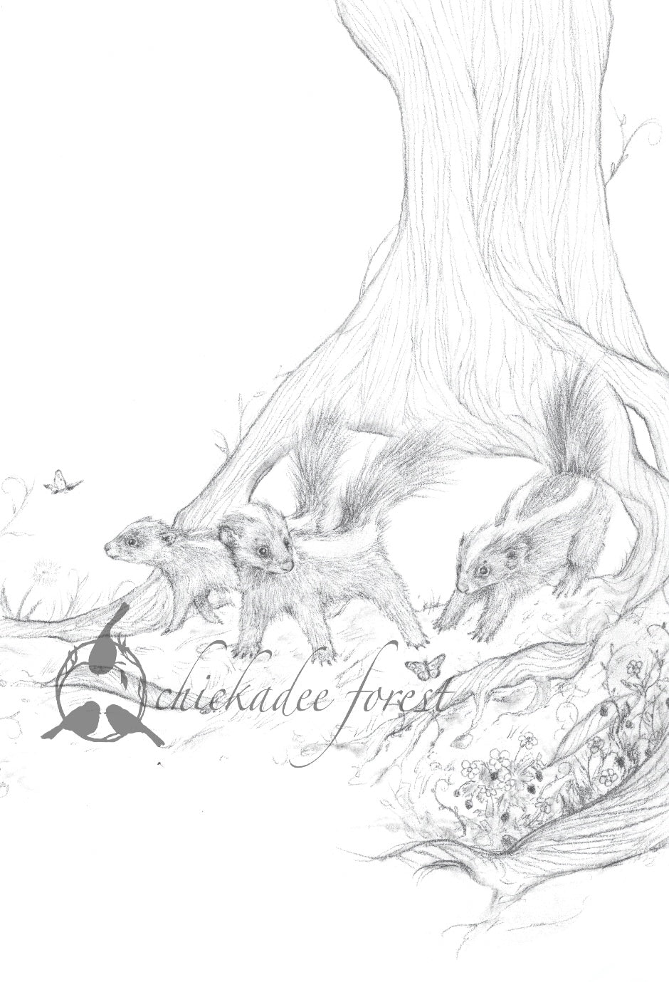 Baby Skunk Pencil Drawing 5x7