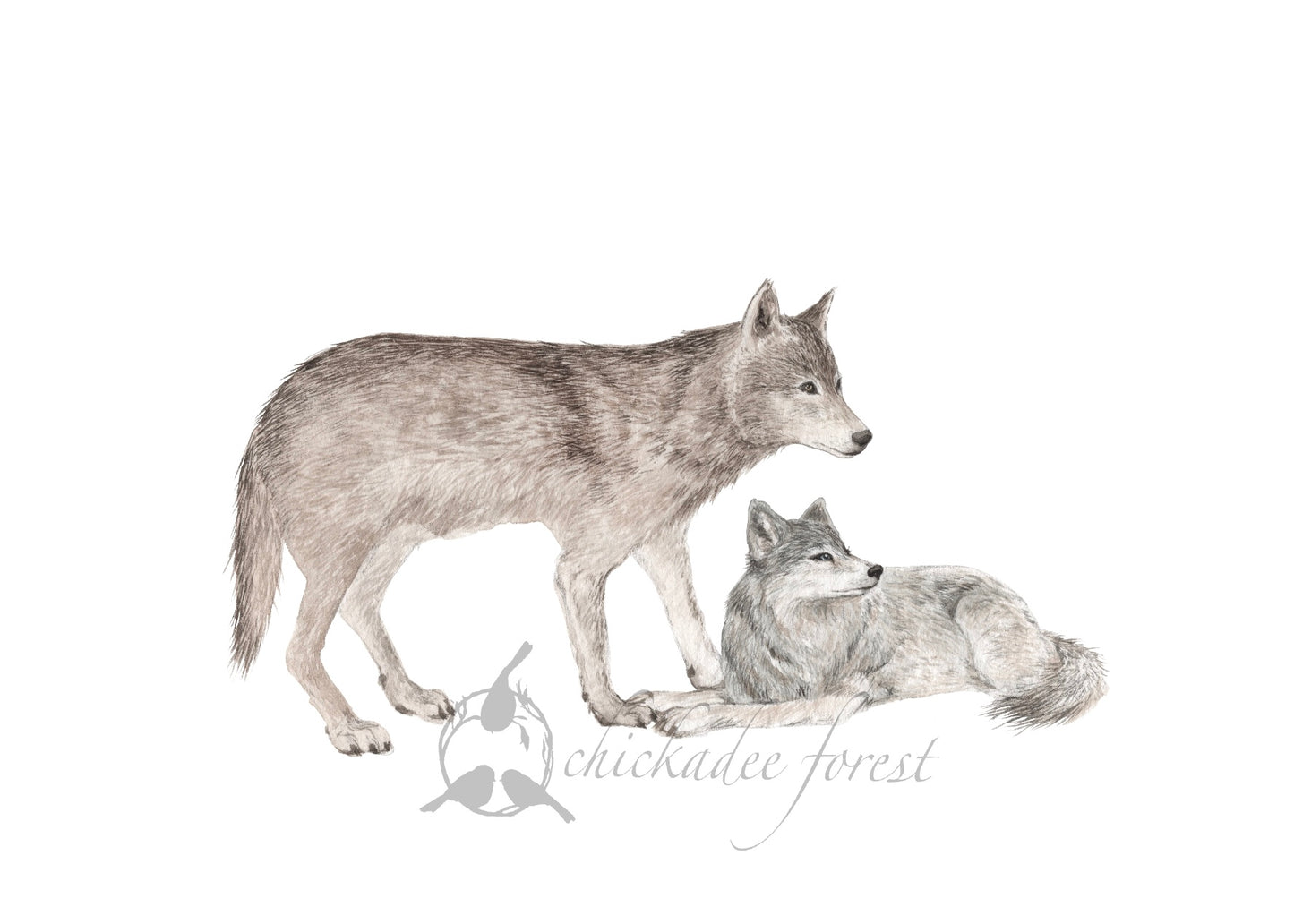 Not Alone Wolves 8.5x11