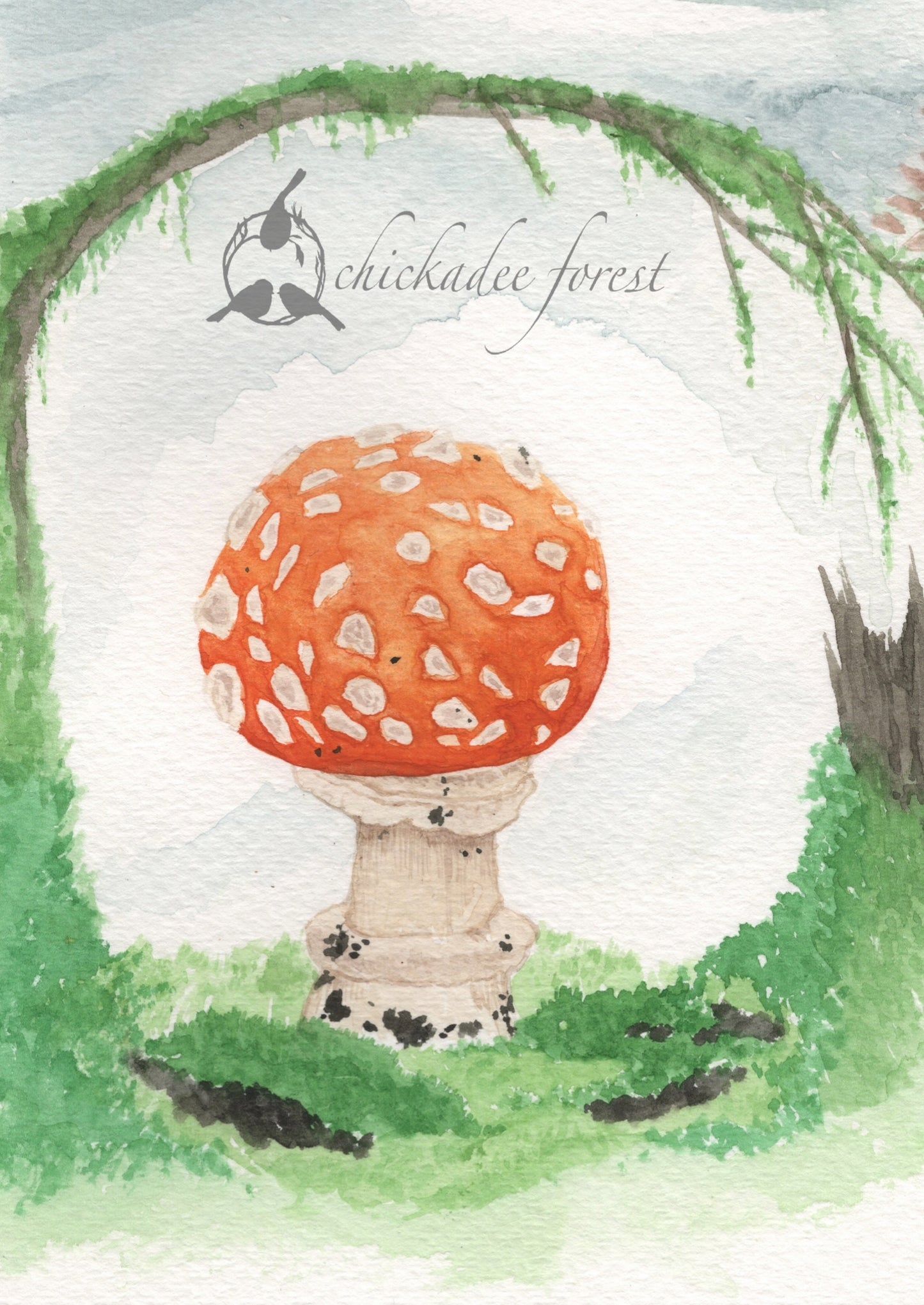 Amanita Muscaria 5x7