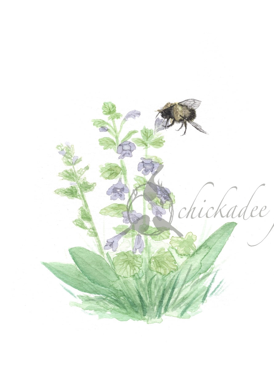 Bumble Bee 5x7 Print