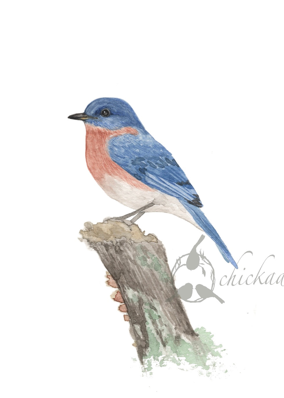 Bluebird Print, 5x7