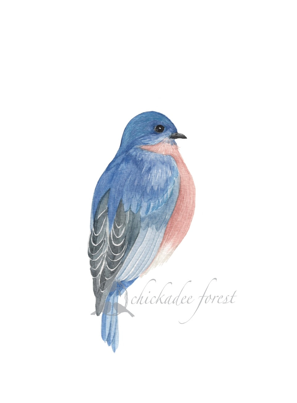 Bluebird 5x7