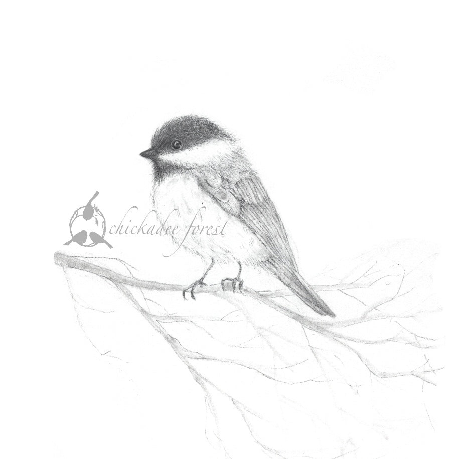 Fuzzy Chickadee 5x7