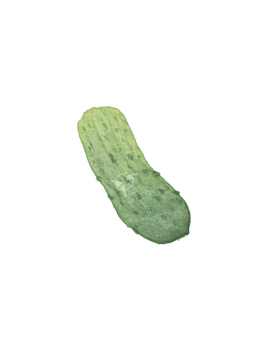 Cucumber 5x7