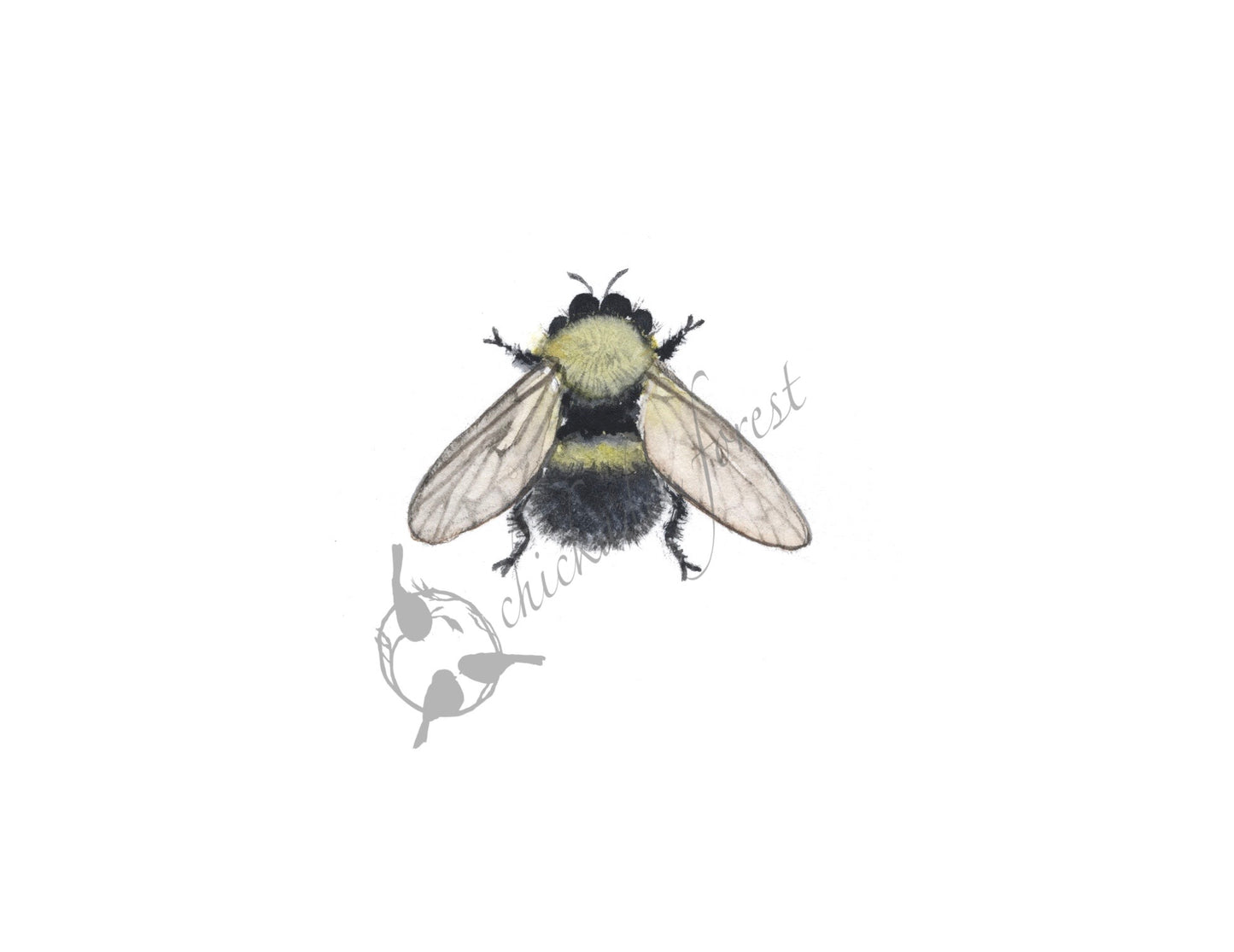 Bumblebee print 5x7