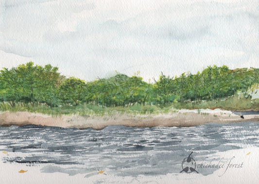 The St. Croix River at William O’Brien 8.5x11