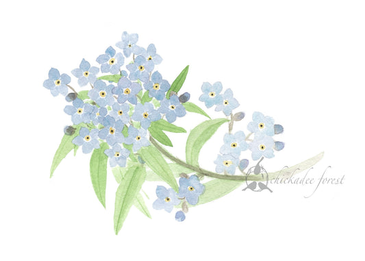 Forget Me Nots Original Art Print 5x7