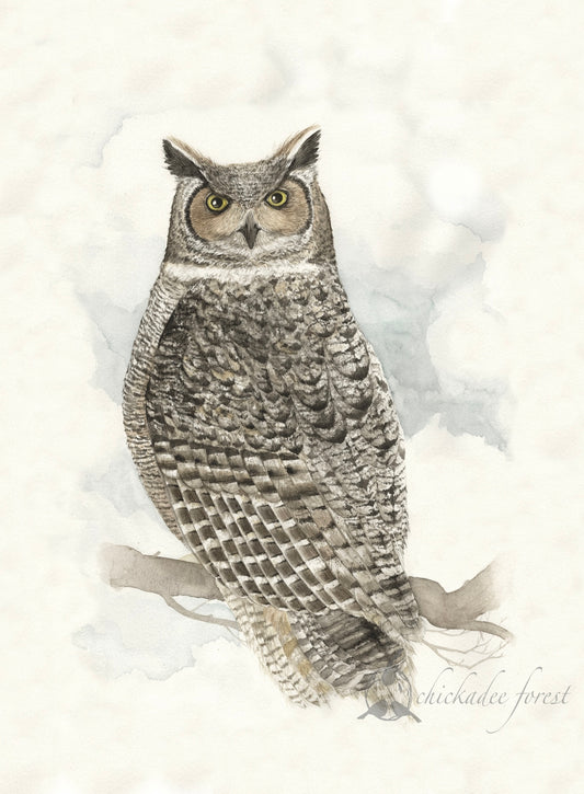 Great Horned Owl Original Art Print 13x19