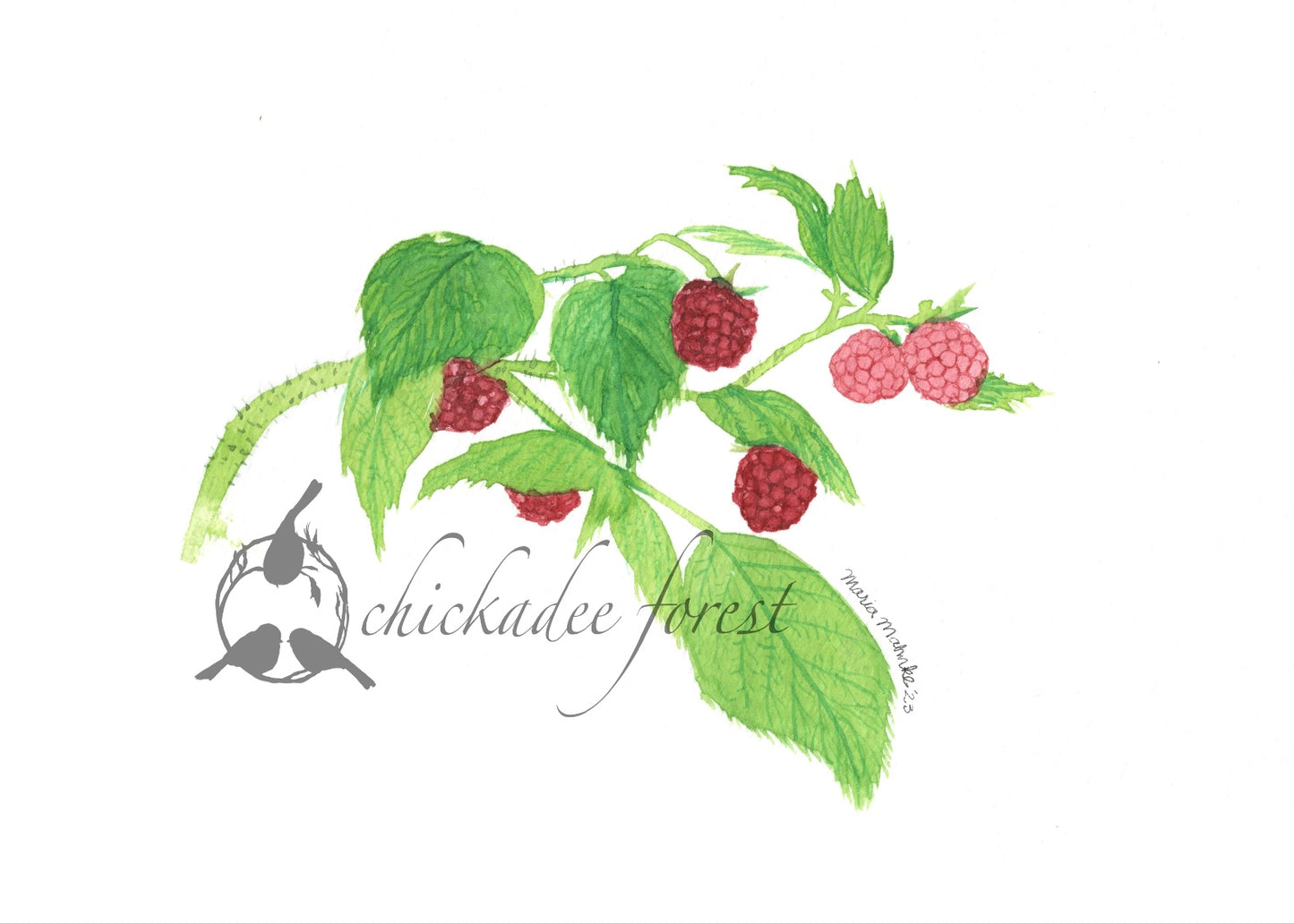 Raspberries Original Art Print 5x7